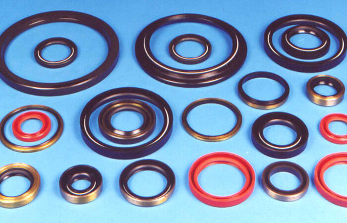 Oil Seals